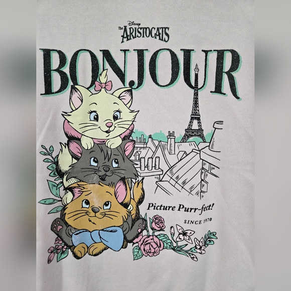 NWOT Disney The Aristocats pink sweatshirt soft - Picture 2 of 4